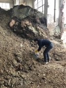 玫瑰有多大？港媒说直径