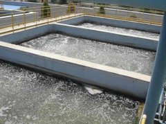 <strong>他们始终把环保责任放在</strong>