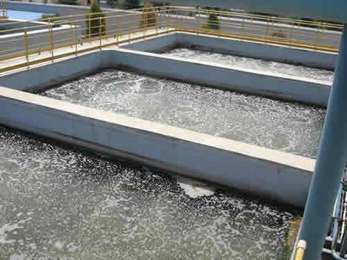 他们始终把环保责任放在心中